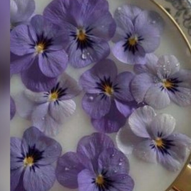 Lilies And Lilac