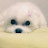 @김희-u5v