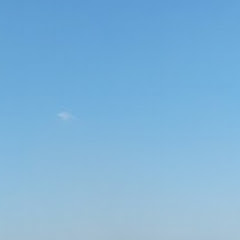 ひつまぶし