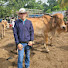 mNQwCEijmTA-channel-avatar- Sam Ganadería 