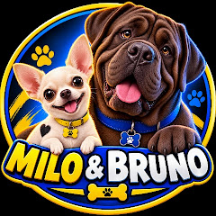 Milo and Bruno