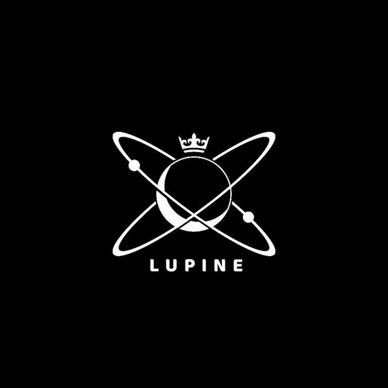 上智大学 Lupine K-POP DANCE COVER