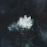 hPZtCQEmIrA-channel-avatar-رُويَّة