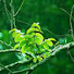 Pdd0_zSQM7I-channel-avatar-Music healing