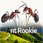 The Ant Rookie 