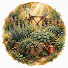 tbad7VKEYy8-channel-avatar-Healing Backyard