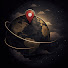 J4ty9KD9hec-channel-avatar-地图之外