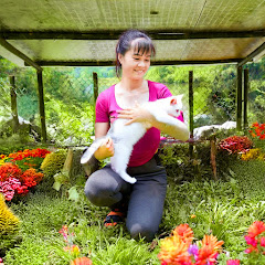 Phương Harvest Life