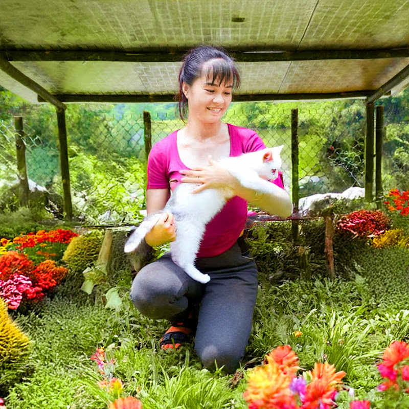 Phương Harvest Life Logo