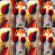 thumbnail img1x1