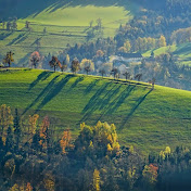 Progressive Platform