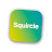Squircle: Apple & Design