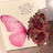 @احمدخیلی-ت9د
