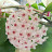 @muza36q