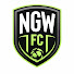 Vr_UALv_cwI-channel-avatar-Next Goal Wins FC
