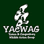 YACWAG YouTube Profile Photo