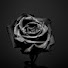 Lqj2EvElb1M-channel-avatar-BlackRose