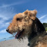 DKLeybqEFgc-channel-avatar-Campervan Habitude