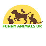 Funny Animals UK