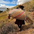 fp4putOM2wU-channel-avatar-TRES AVENTUREROS