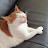 @Jejexx-r6k