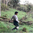 RvkSBm_9kYs-channel-avatar-Percy bolArte