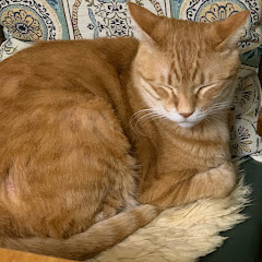 コストアイコン画像