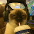 c3mbC88yQaI-channel-avatar-spnpclips