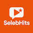 4CA-yb4HChE-channel-avatar-SelebHits