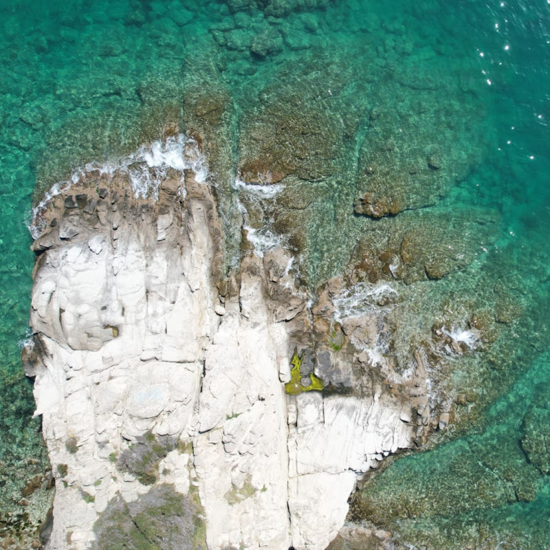 DroneFlix 