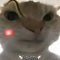 Profile Picture of I’m Taichi 🗿