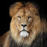 YC3bIuervLg-channel-avatar-Andrey Anatolievich