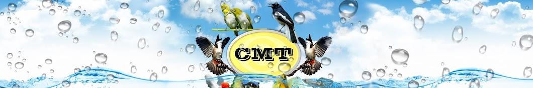 C MT YouTube channel avatar