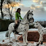 Zam8yw51vnM-channel-avatar-Leon's Schleichwelt