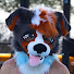 e8R9bpbi4Z8-channel-avatar-Booster Dawg ASMR