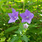 @user-ie1xo6gz9p.L.T.H