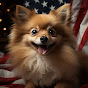 Pomeranian USA logo