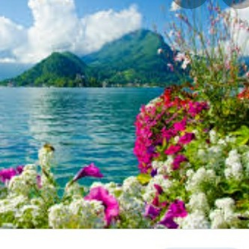 Amazing Places