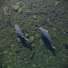 R1Tc0x7X3Wc-channel-avatar-Wyreside Lakes Fishery and Campsite