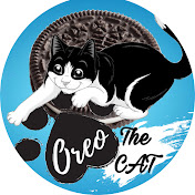 Oreo the Cat