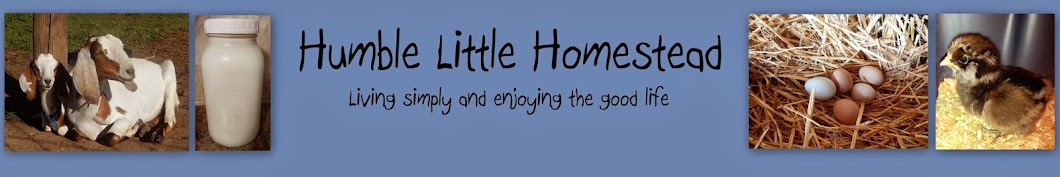 Humble Little Homestead YouTube channel avatar