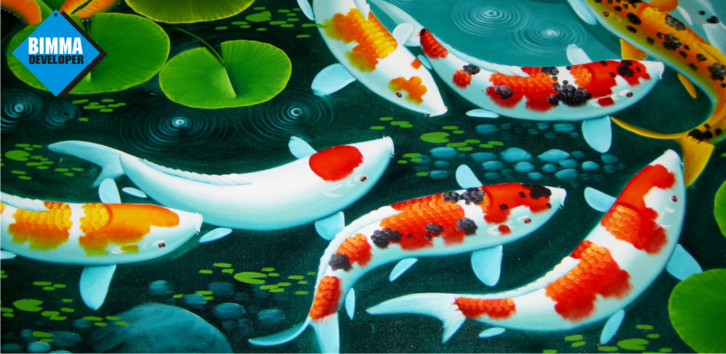 Wallpaper Ikan Hias Cantik Apk Download For Android Bimma