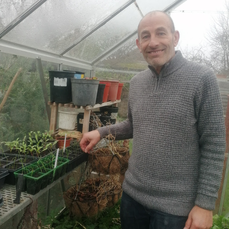 Joe & Di's Allotments & Kitchen Garden