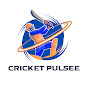 CricketPulsee logo