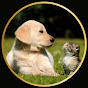 Tiny Paws BigHearts  logo
