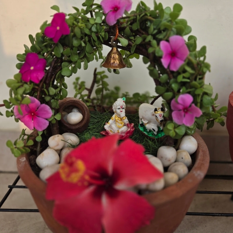 Hire Khushiplants26 — Home & Garden YouTube creator for sponsorships