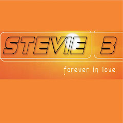 Stevie B - Topic