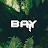 Baytee Remix