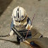 empOZUSk2_o-channel-avatar-HUTINUTAH