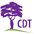 8-aOcdLWENQ-channel-avatar-Congregation Dorshei Tzedek
